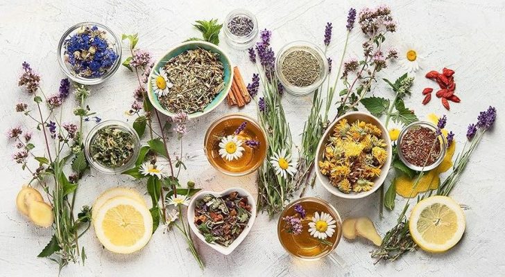 thành phần trà thảo mộc thiên nhiên