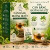 sản phẩm trà thảo mộc thiên nhiên thương hiệu lá xanh